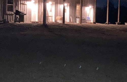 Vinemont Casa | A true "Barn" experience! Pet friendly!