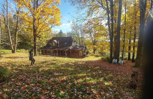 Conewango Valley Cabaña | Una verdadera cabaña en el bosque a minutos de Ellicottville HoliMont y Holiday Valley