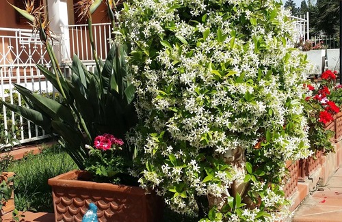 Palermo Villa | Un verdadero oasis en la ciudad