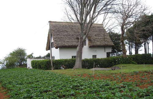 Santana Casa | Casa Típica con jardín - Santana - Aparcamiento - Free Wifi