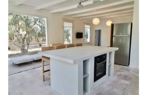 Urla Casa | A Unique House Among the Olive Trees