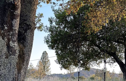 Calistoga Casa | A wine country getaway 10 minutes from downtown Calistoga
