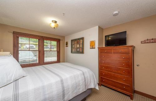 Thayerville Apartamento | A120 One Bedroom Standard View