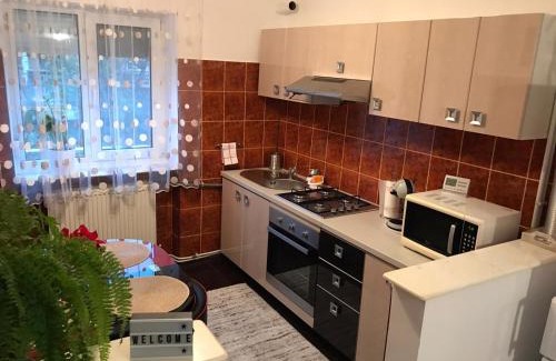Emanoil Gojdu Apartamento | A3M APARTMENT