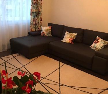 Emanoil Gojdu Apartamento | A3M APARTMENT