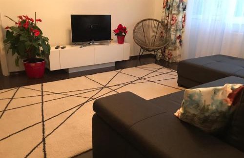 Emanoil Gojdu Apartamento | A3M APARTMENT