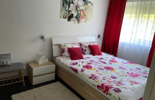 Emanoil Gojdu Apartamento | A3M APARTMENT
