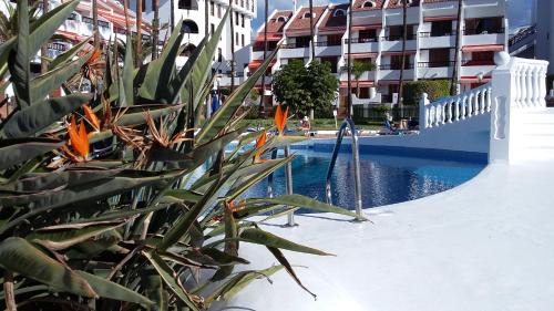 El Madronal Apartamento | AA Estudio Las Americas 16