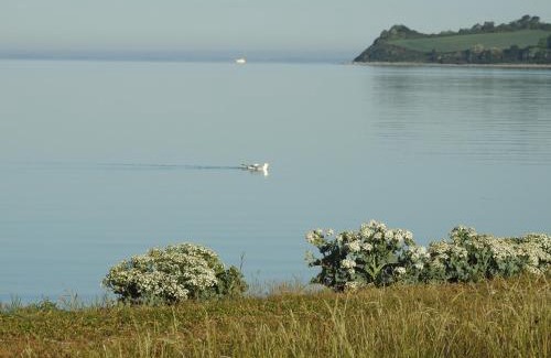 Ebberup Apartamento | Aa Strand Camping