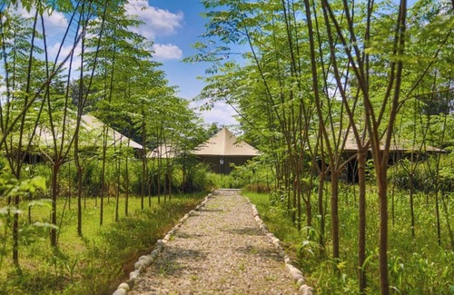 Roorkee Casa | Aalia Jungle Retreat and Spa, Bandarjudh, Haridwar - Araiya Anthology