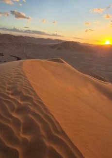 Dhofar Governorate Otro | AArabian Sand Camp Empty Quater Salalah Oman