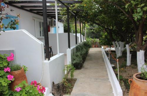 Ferma Apartamento | Aaron Apartments