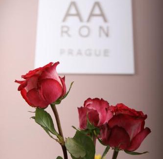 Karlin Hotel | Aaron