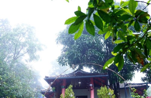 Thalassery Complejo | Aaroodam Resort