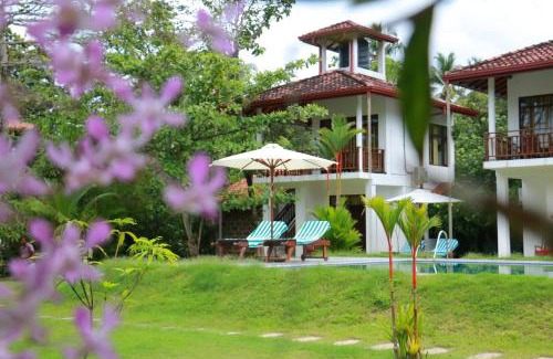 Balapitiya Cama Y Desayuno | Aathma Ayurveda Health Resort