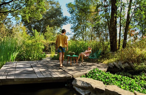 Valle de Bravo Apartamento | AAV : La Cajiga - Intimate studio in the forest.