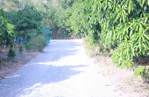 Habarana Casa | Abawaththa Guest House
