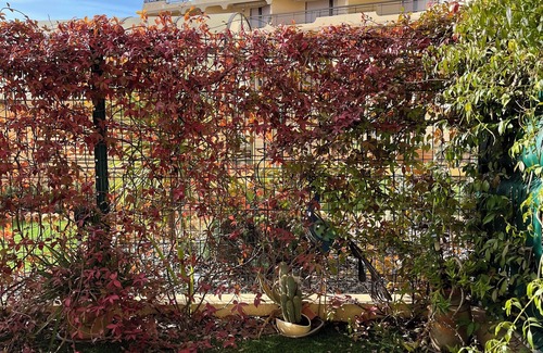 Frejus Port Apartamento | Acapoulco two-room seafront promenade Garden level