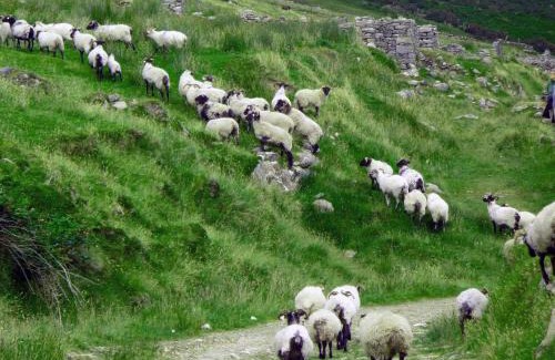 Achill Sound Casa | Achill Island Holiday home by the Sea