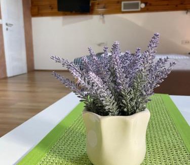 Arilje Apartamento | Achillius apartmani Arilje