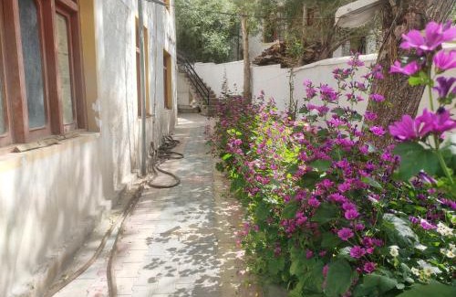 Leh Casa | Achina