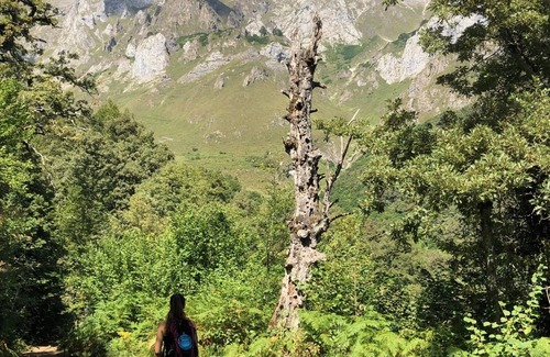 Cosgaya Apartamento | Apartamento ideal de montaña a los pies de los Picos de Europa.