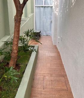 Alto Barroca Casa | Aconchego BH