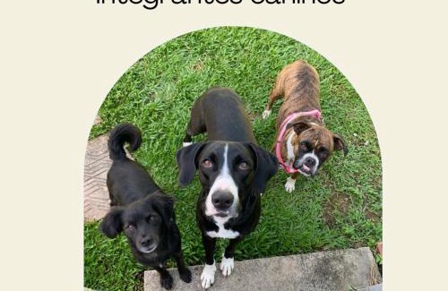 Pomerode Casa | Aconchego do Harry Potter