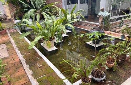Chang Phueak Casa | ADA House CNX