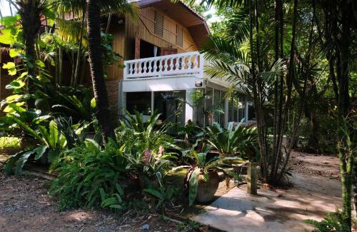 Chang Phueak Casa | ADA House CNX