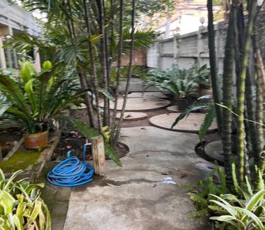 Chang Phueak Cama Y Desayuno | ADA House CNX