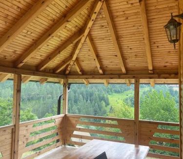 Bajina Basta Apartamento | Adamov Konak Apartmani