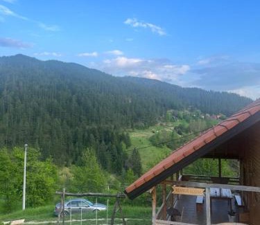 Bajina Basta Apartamento | Adamov Konak Apartmani