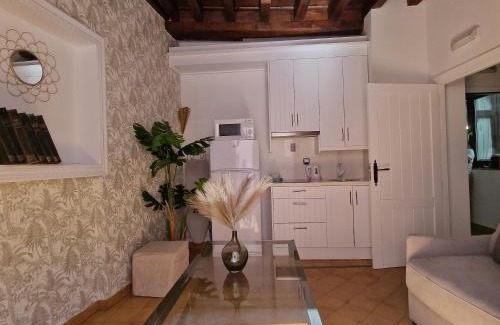 Albaicín Apartamento | ADANAR-Apartamentos Muralla Zirí