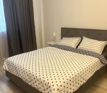 Craiova Apartamento | Adela Luxury House