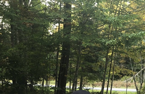 Alder Creek Cabina | ADIRONDACK CHICK INN
