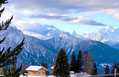 Riederalp Apartamento | Adler Residenz 14