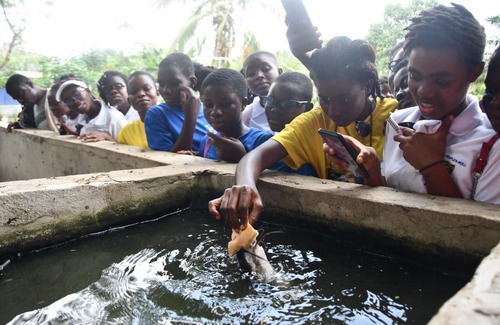 Akosombo Otro | Adomi Bridge Garden