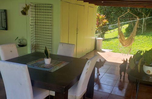 Piedras Apartamento | Adorable 1-bedroom Pet-friendly Studio