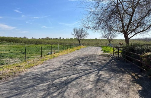 Peters Casa | Adorable 1 Bedroom with pool, and Horse Arena