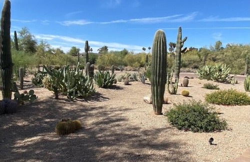 Fountain Hills Casa | Adorable Casita Pool, Spa, Desert Mountain Views