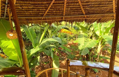 Puerto Princesa City Centre Casa | Adorable Dome House
