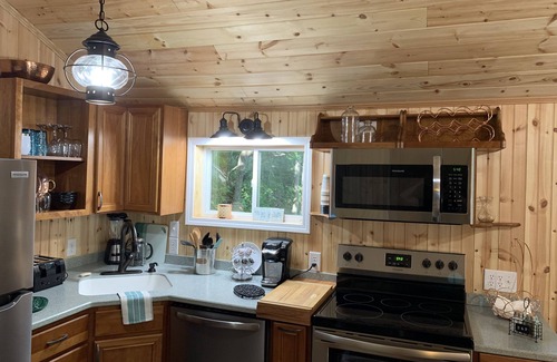 Candler Cabina | Adorable Mountain Cabin near Asheville