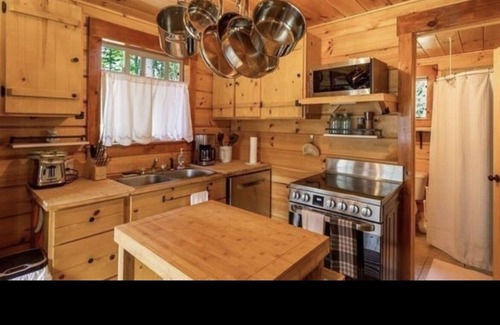 Iron River Cabina | Adorable Northwoods cabin
