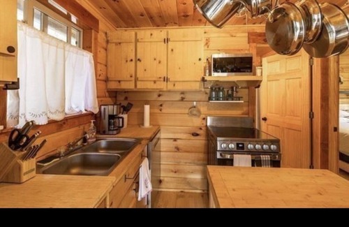 Iron River Cabina | Adorable Northwoods cabin