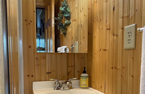 Hastings Cabaña | Adorable Thornapple Lake Cottage on Channel