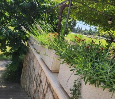 Vrsar Apartamento | Adria Vrsar