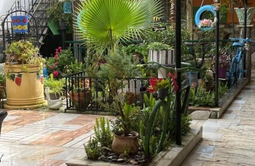Anatolikos Sinikismos Apartamento | Adrianas Garden of Eden Apartment