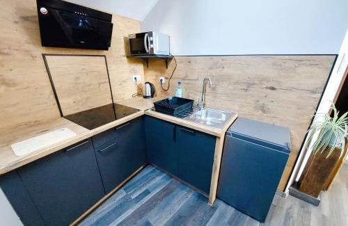 Ujazd Apartamento | AE BERG Apartamenty