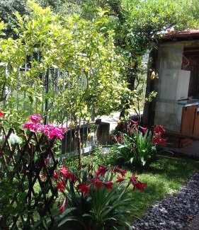Policastro Bussentino Casa | Affittacamere da Rosa